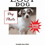 20+ Best Lost Cat/Dog Flyer & Poster Templates (Word | Psd) Inside Lost Dog Flyer Template