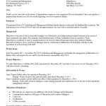 39 Best Consulting Proposal Templates [Free] ᐅ Templatelab With Business Idea Template For Proposal