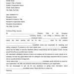 42+ Reference Letter Templates – Pdf, Doc | Free & Premium Templates Throughout Business Reference Template Word