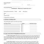 Addictionary In Notarized Custody Agreement Template