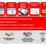 Business Intelligence Bi Software: Project Analytics Using Oracle With Regard To Business Intelligence Templates For Visual Studio 2010
