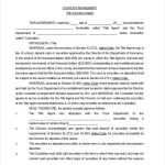 Custody Agreement Template – 10+ Free Word, Pdf Document Download Pertaining To Notarized Custody Agreement Template