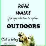 Dog Walking Flyers Templates – Cards Design Templates Pertaining To Dog Walking Flyer Template Free