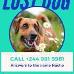 Editable Missing Dog Flyer And Poster Template Printable Lost | Etsy Throughout Lost Dog Flyer Template