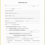 Free Promissory Note Template Illinois Of Free Promissory Note In Promissory Note Template Free Download