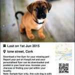 Missing Pet Flyer Template – Cards Design Templates Throughout Lost Dog Flyer Template