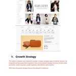 Online Fashion Boutique Business Plan Template Sample Pages – Black Box With Regard To Online Store Business Plan Template