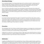 Trucking Business Plan Template Pdf – Stability Day By Day Account Throughout Business Plan Template For Transport Company